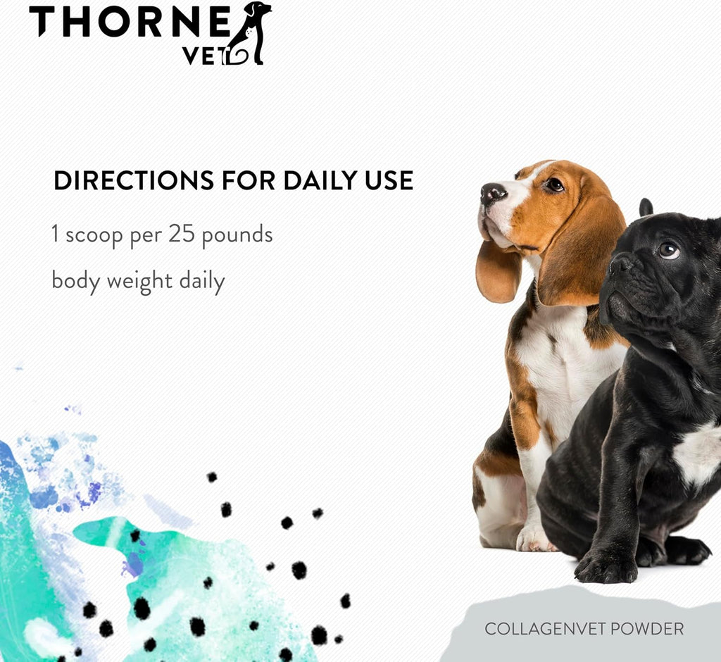 CollagenVET Colágeno para Perros y Gatos – Polvo para Articulaciones, Músculos, Huesos y Piel – 75 Dosis