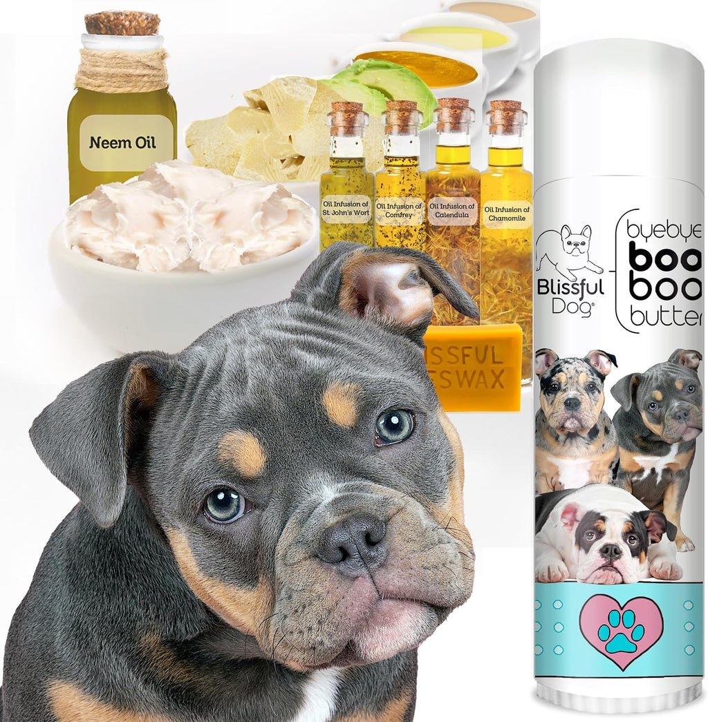 The Blissful Dog Olde ENGLISHE Bulldogge Booboo Butter – Tubo de 0.50 oz