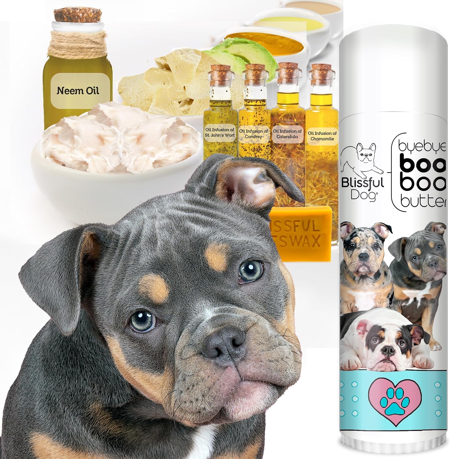 The Blissful Dog Olde ENGLISHE Bulldogge Booboo Butter – Tubo de 0.50 oz