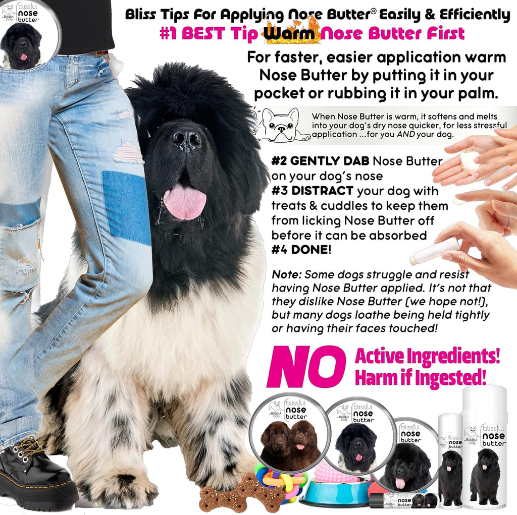 The Blissful Dog Landseer Newfoundland Nose Butter - Bálsamo Nasal Natural para Perros, Sin Fragancia, 2 oz