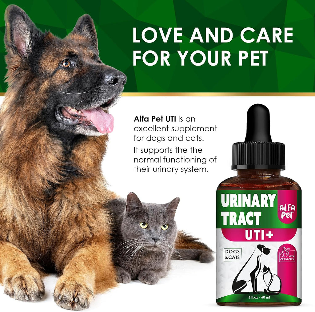 Complemento Urinario con Arándano para Perros y Gatos - Gotas para el Apoyo Renal y Vesical - 60 ml