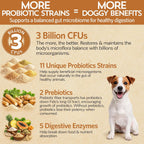 Good Guts Probióticos para Perros Pequeños – Polvo Digestivo con 3B UFC, Enzimas y Prebióticos
