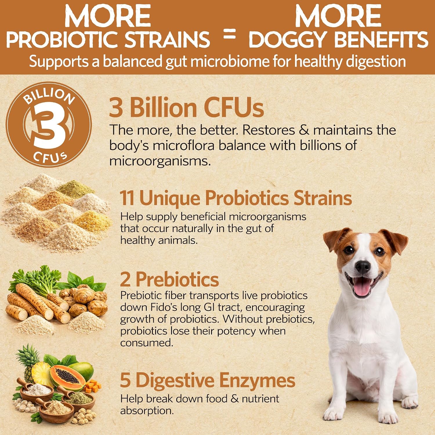 Good Guts Probióticos para Perros Pequeños – Polvo Digestivo con 3B UFC, Enzimas y Prebióticos