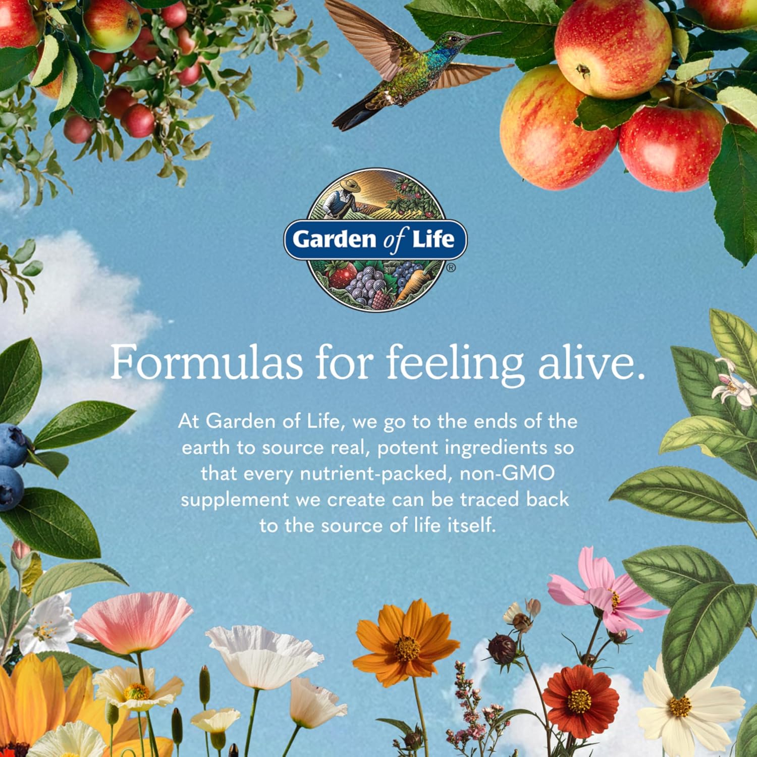 Garden of Life Vitamin Code RAW ONE Multivitamínico Diario para Hombres con Alimentos Integrales y Probióticos, 75 Cápsulas