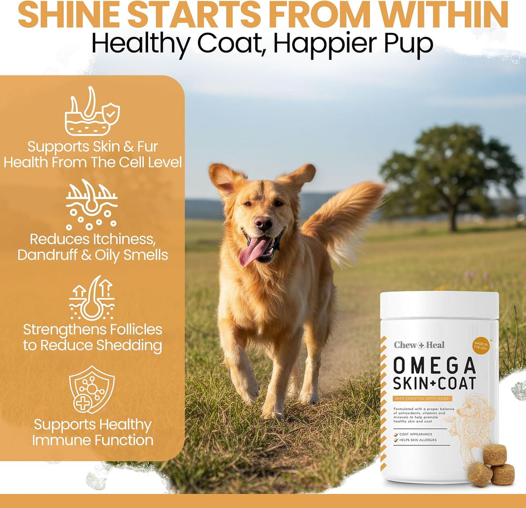 Omega 3 Fish Oil for Dogs - 180 Soft Chews - Itch Relief, Shedding & Hot Spots - Skin and Coat Supplement - Salmon Oil, EPA & DHA - Allergy Chews - Made in USA - Chew + Heal