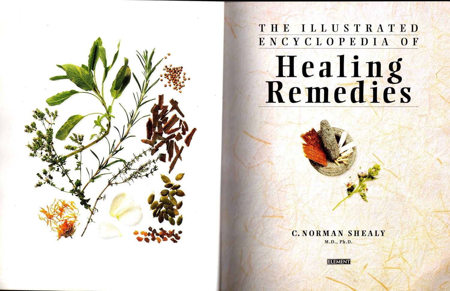 Illustrated Encyclopedia of Healing Remedies
