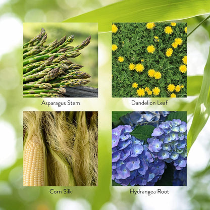 Nature's Sunshine Urinary Maintenance, 120 – Hoja de perejil (Petroselinum crispum): rica en nutrientes y con uso – Image 5