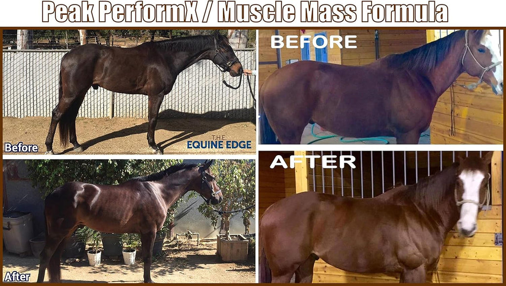 Peak PerformX Supreme Soul Multi Vitamin para Caballos - 1420g con Tribulus