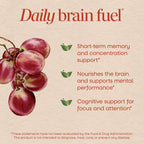 Nature's Way Brain Fuel Gummies - Gominolas para el apoyo cognitivo, con Cognigrape, vitaminas B6 y B12, sabor a uva, 60 unidades