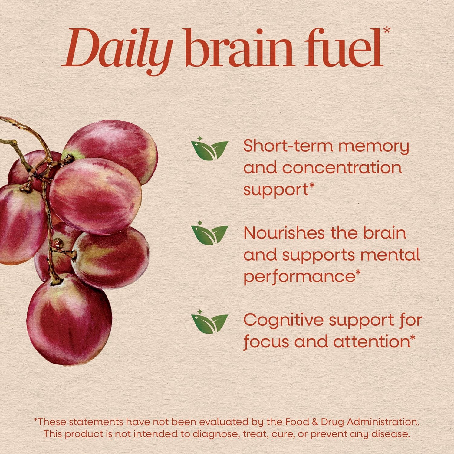 Nature's Way Brain Fuel Gummies - Gominolas para el apoyo cognitivo, con Cognigrape, vitaminas B6 y B12, sabor a uva, 60 unidades