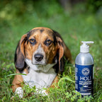HOLI Aceite de Salmón para Perros y Gatos | Aceite de Pescado Islandés | Omega 3 EPA + DHA Apoya la Movilidad Articular, Salud Inmunológica y Cardíaca | Líquido