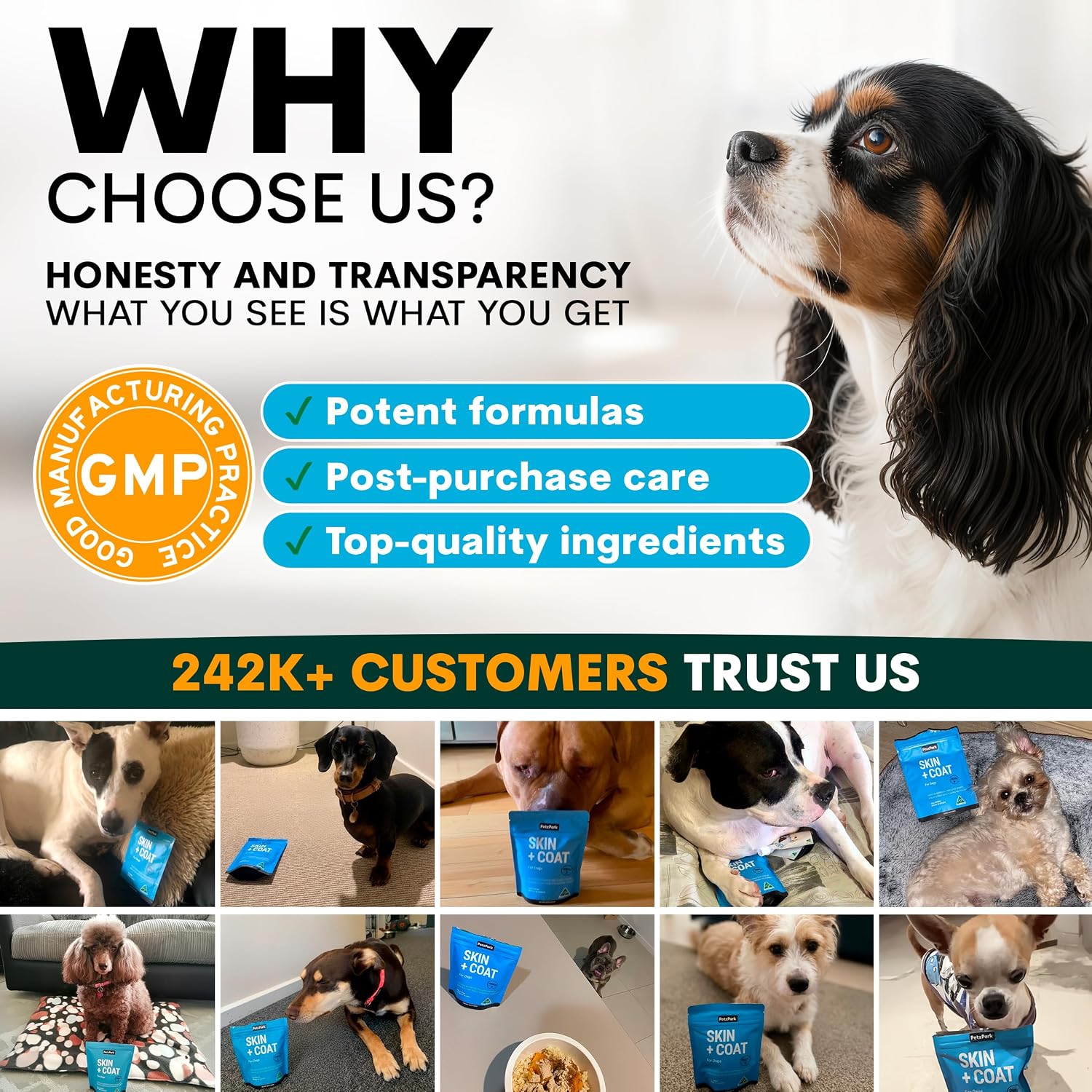 Petz Park Suplemento para Piel y Pelaje de Perro - 90 Dosis - Omega 3, Zinc y Biotina - Polvo para Perros