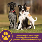 Canine Red Cell, Suplemento Líquido de Vitaminas, Hierro y Minerales para Perros - Cachorros, Activos, Senior y Gestantes, 1 Cuarto (946 ml)