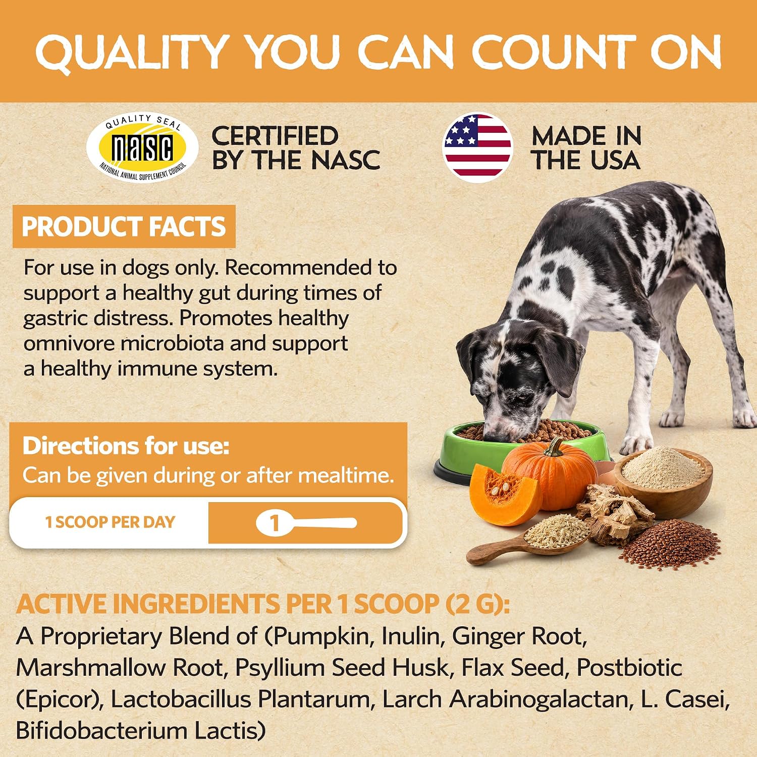 Fidobiotics Probióticos para Perros con Calabaza - 7 Días de Servicio para la Salud Digestiva