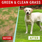 Dog Pee Grass Helper - 120 masticables para perros