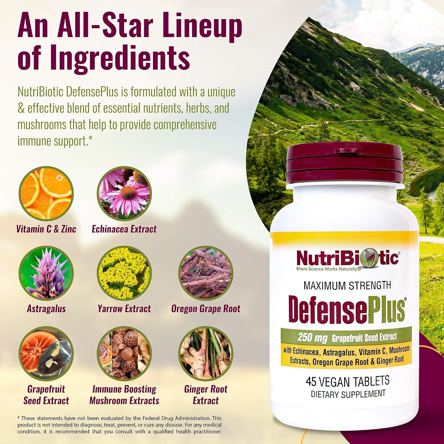 NutriBiotic DefensePlus, 45 comprimidos | Apoyo inmunitario 11 en 1 con vitamina C, zinc, extracto de semilla de pomelo, equinácea, raíz de astrágalo y extractos de hongos | Vegano y sin gluten