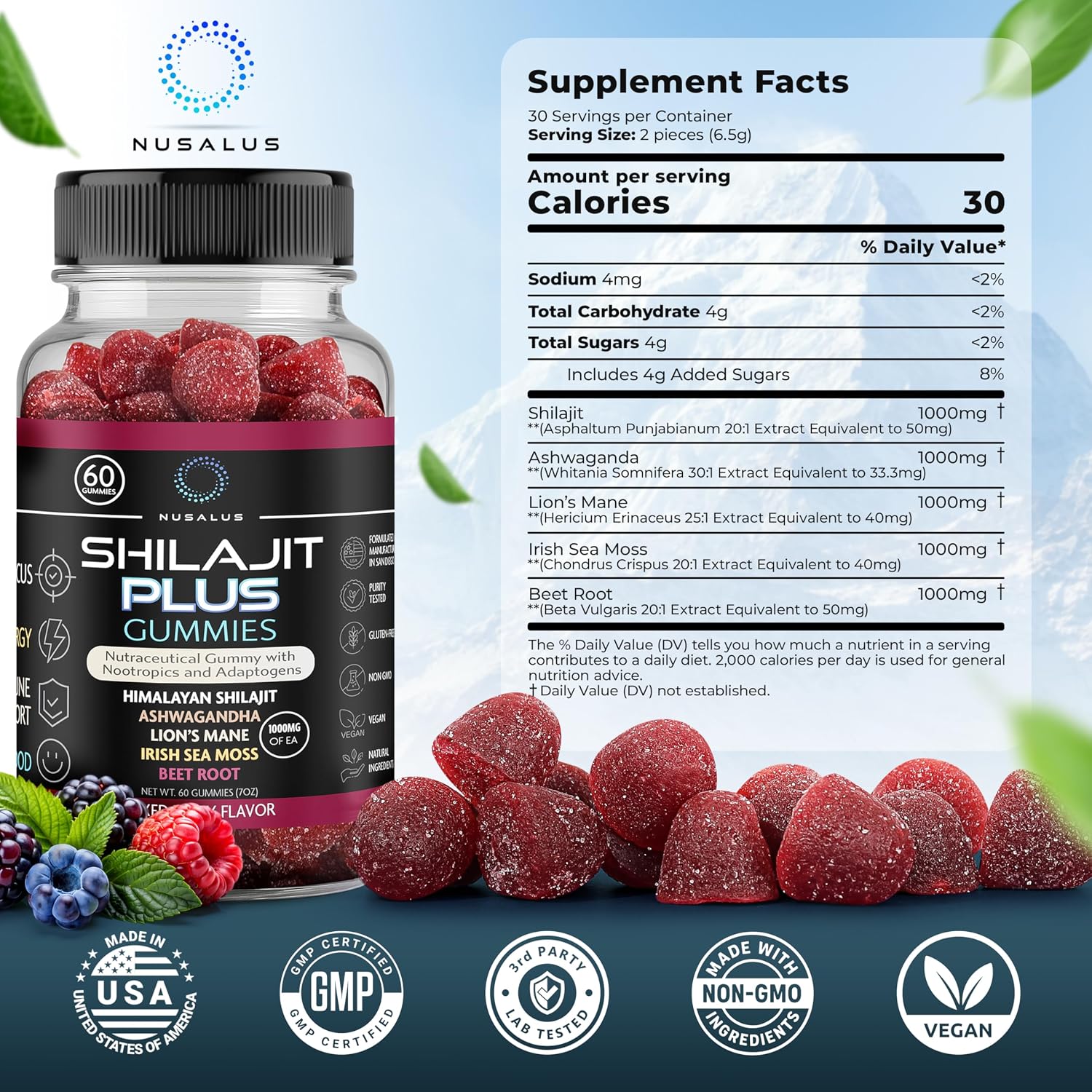 Shilajit Plus Gummies 5 en 1 - Adaptógeno y Nootrópico, 60 Gomitas Veganas