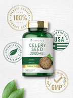Carlyle Celery Seed Extract Capsules - 240 cápsulas - Suplemento herbal tradicional - Sin OGM y sin gluten