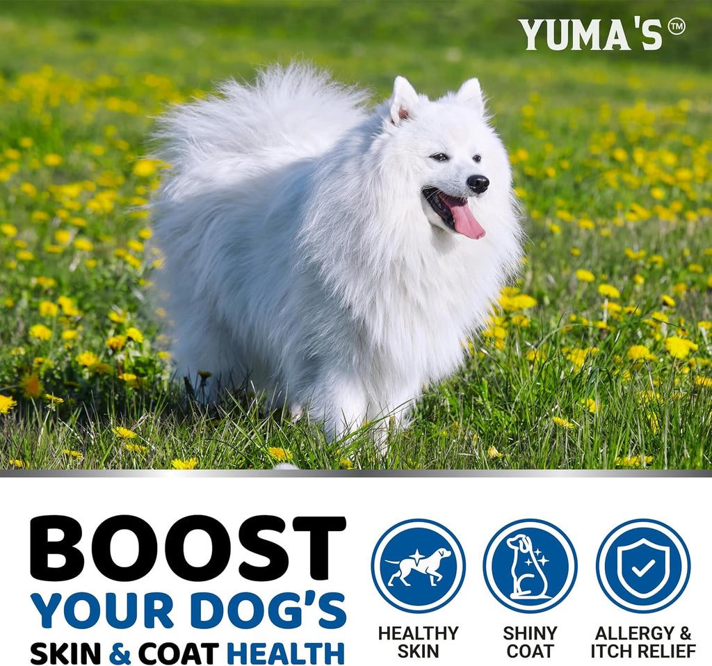 Omega 3 para perros – 170 masticables – Suplemento para piel y pelaje con salmón, EPA y DHA – Sabor pollo
