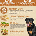Good Guts Probióticos para Perros – Polvo Digestivo con 12B UFC, Enzimas y Prebióticos