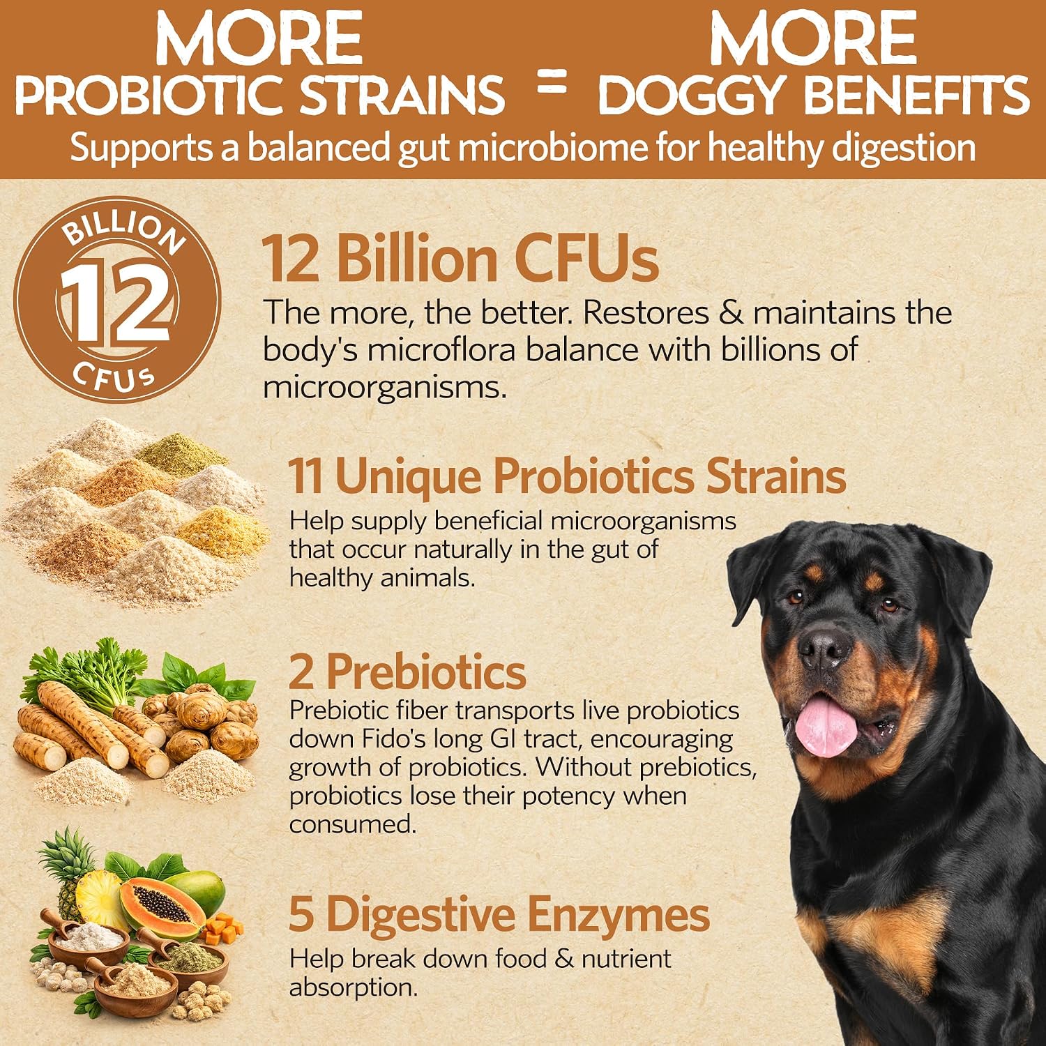 Good Guts Probióticos para Perros – Polvo Digestivo con 12B UFC, Enzimas y Prebióticos