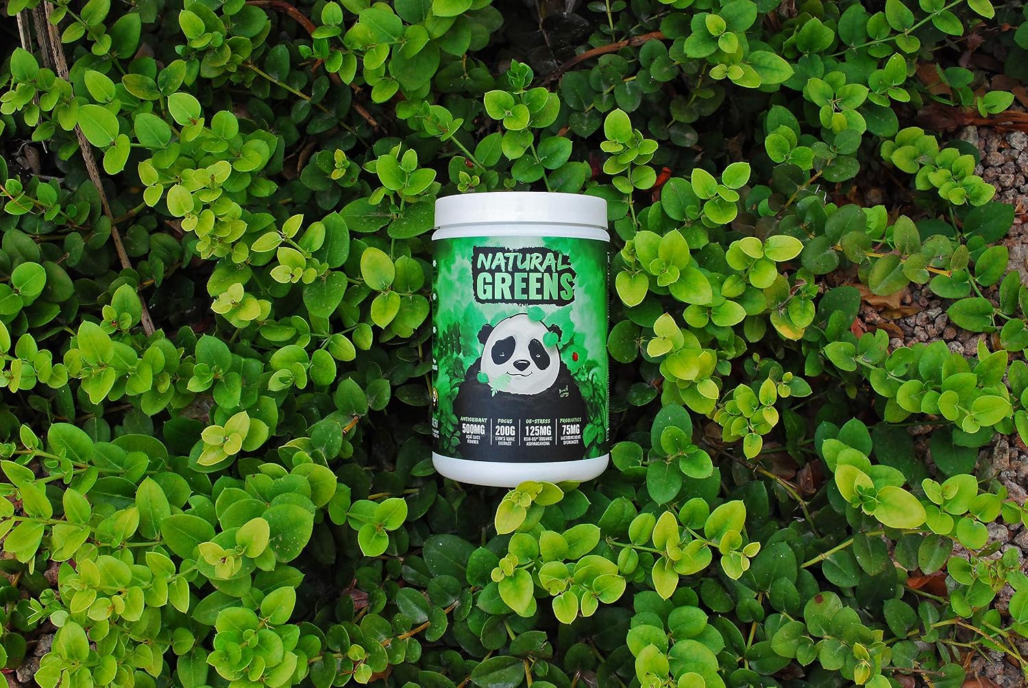 Panda Superfood Greens: Mezcla Natural de Superalimentos con Probióticos y Adaptógenos (Piña, 13.76 oz)
