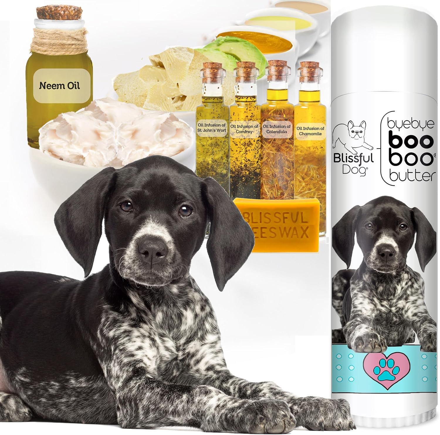 The Blissful Dog Tubo de 0.50 oz Mantequilla Booboo para Braco Alemán de Pelo Corto