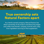 Natural Factors TravelBiotic - Probiótico Bifidobacterium longum 10 mil millones UFC - 60 cápsulas veganas