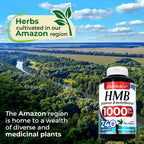 FITO MEDIC'S Lab HMB 1000 mg 240 Cápsulas - Ácido Libre