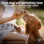 Aloha Medicinals K9 Immunity, 90 Cápsulas - Suplemento Inmunitario para Perros