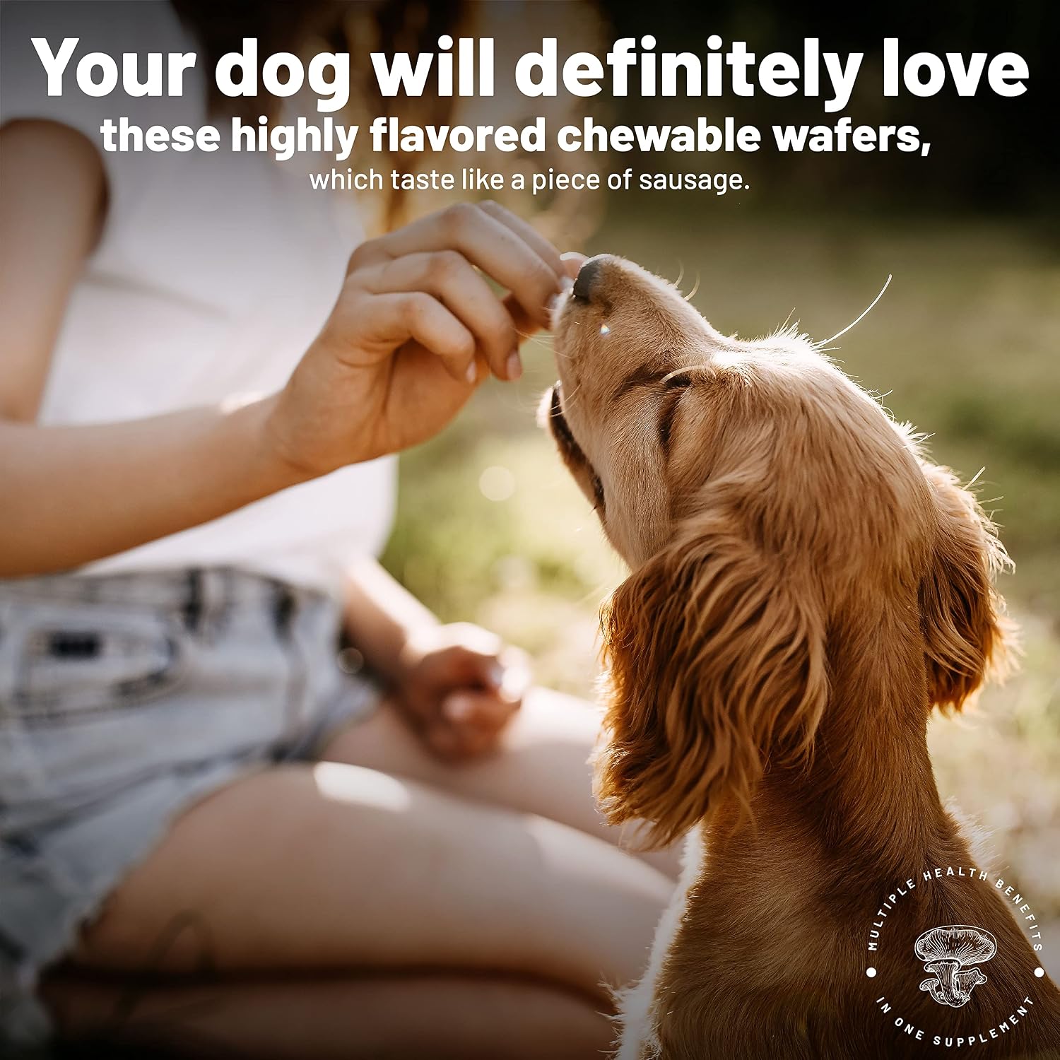 Aloha Medicinals K9 Immunity, 90 Cápsulas - Suplemento Inmunitario para Perros