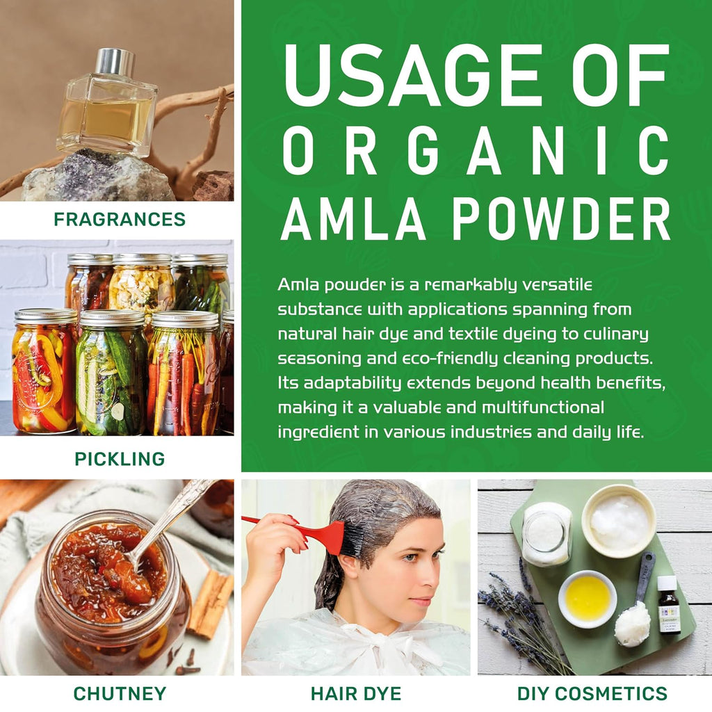 Polvo de Amla Orgánico 567 g - Puro, Libre de Gluten, No GMO, Amalaki de India, Vitamina C - Jiva Organics