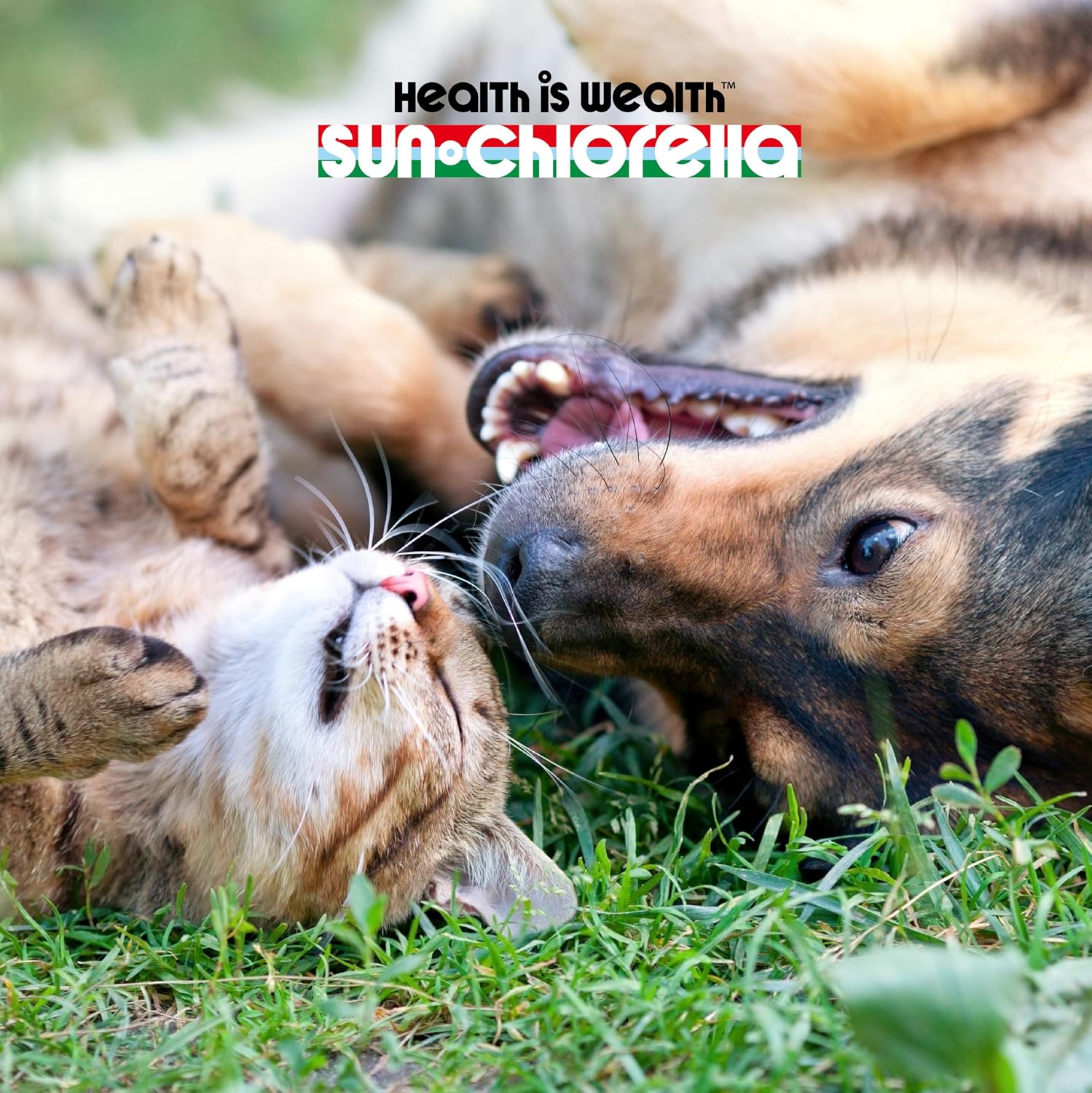 Sun Chlorella Sun Premios para Mascotas - Suplemento verde superfood para perros y gatos - 120 premios