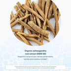 Youtheory Ashwagandha Gummies - 60 Gominolas Veganas con KSM-66