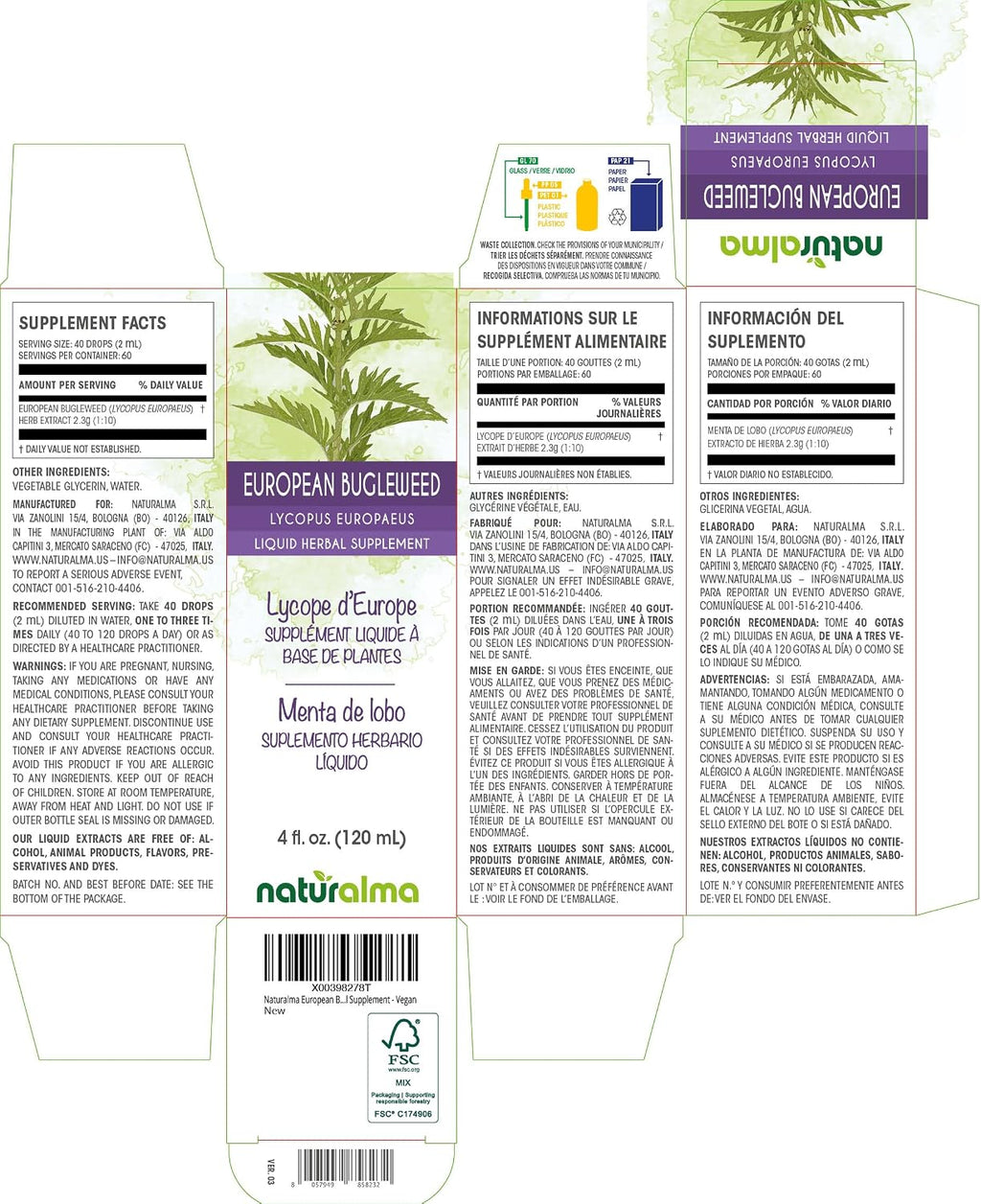 Naturalma Bugleweed Europeo (Lycopus europaeus) Extracto Líquido Sin Alcohol - 4 oz (118 ml) - Gotas - Vegano