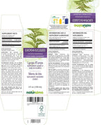 Naturalma Bugleweed Europeo (Lycopus europaeus) Extracto Líquido Sin Alcohol - 4 oz (118 ml) - Gotas - Vegano