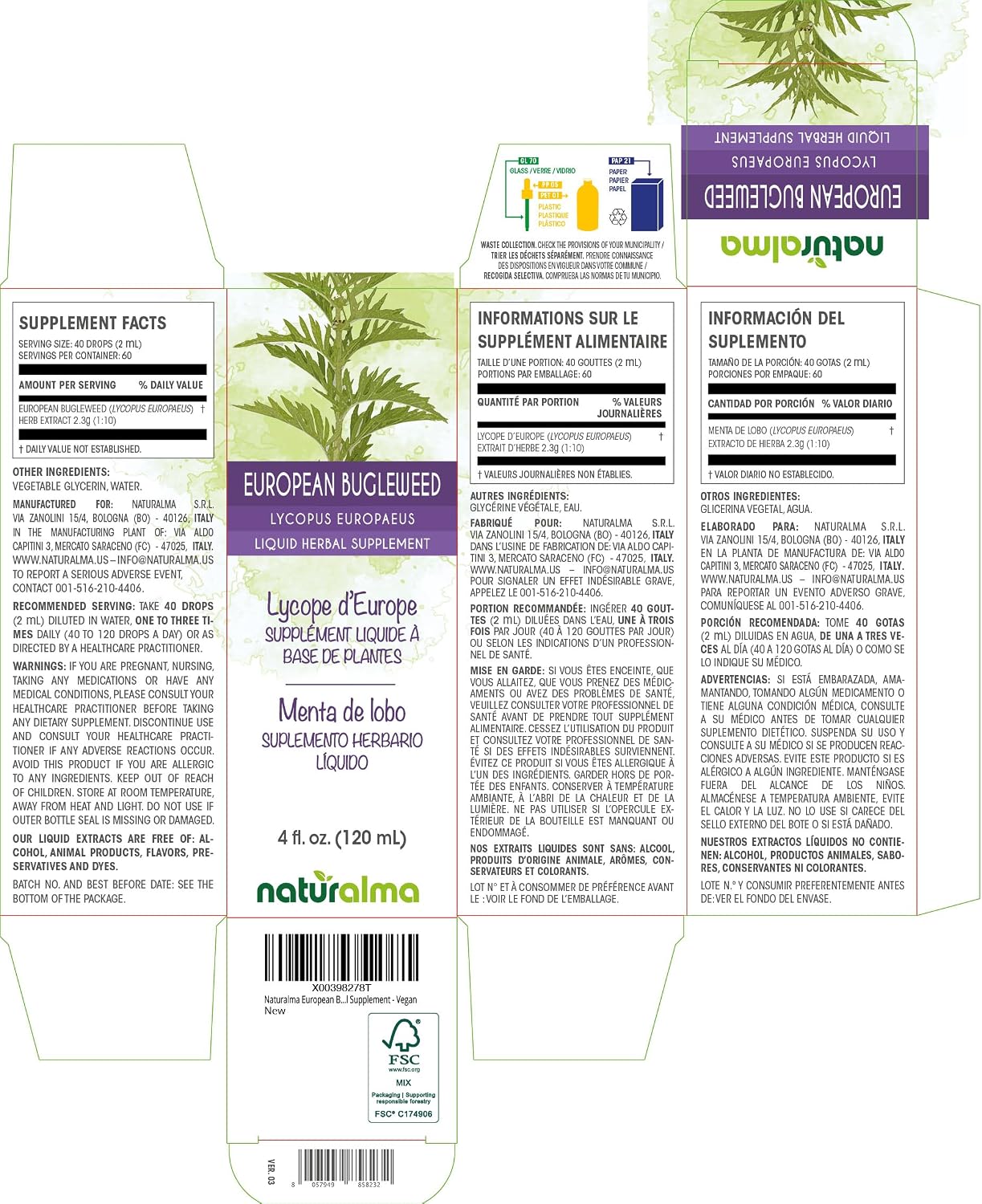 Naturalma Bugleweed Europeo (Lycopus europaeus) Extracto Líquido Sin Alcohol - 4 oz (118 ml) - Gotas - Vegano