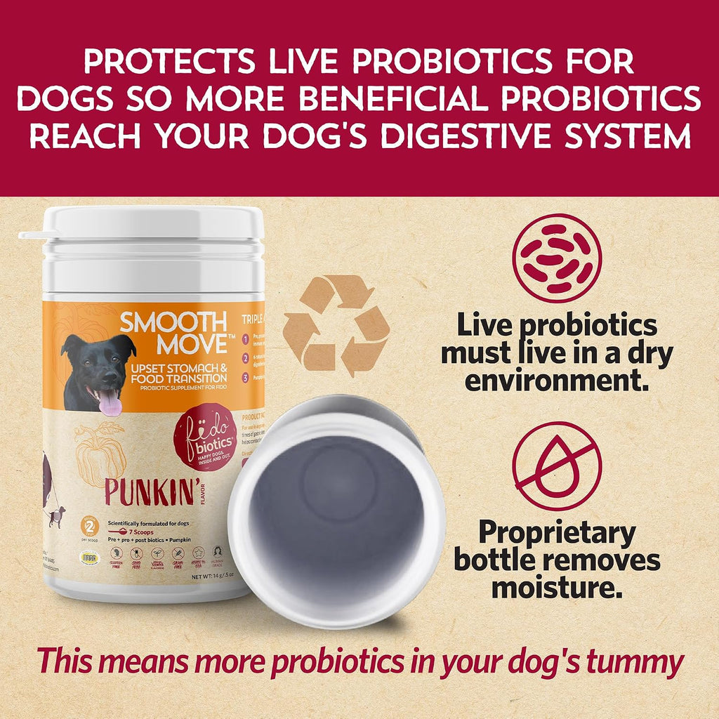 Fidobiotics Probióticos para Perros con Calabaza - 7 Días de Servicio para la Salud Digestiva