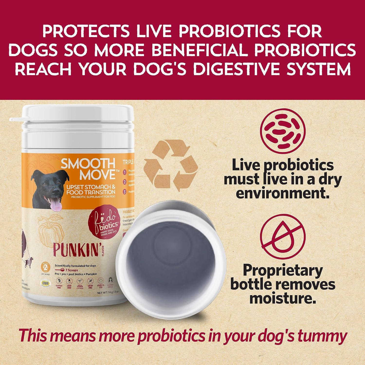 Fidobiotics Probióticos para Perros con Calabaza - 7 Días de Servicio para la Salud Digestiva