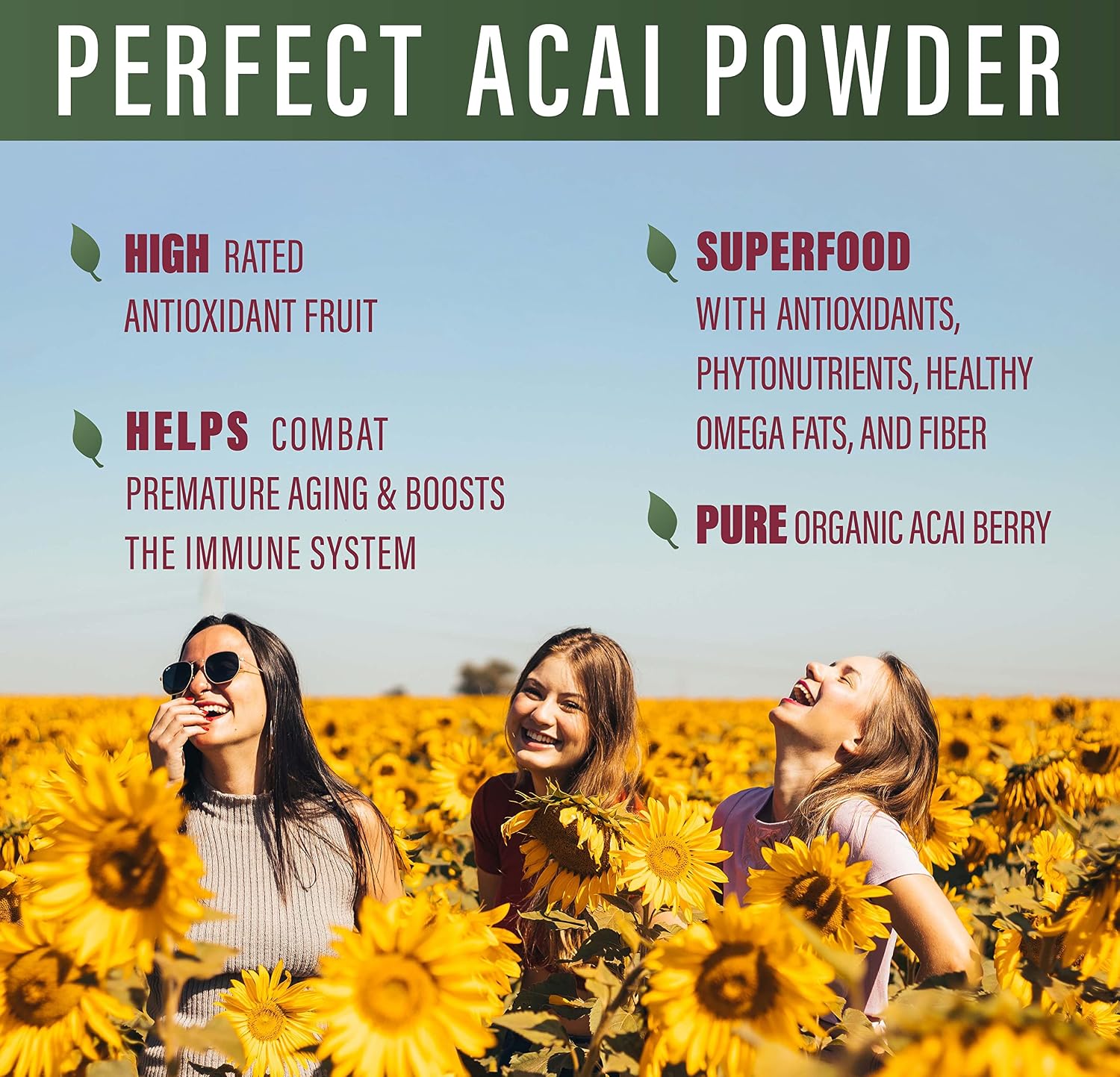 Perfect Acai Powder - Polvo de Acai Orgánico Liofilizado - 95 Gramos