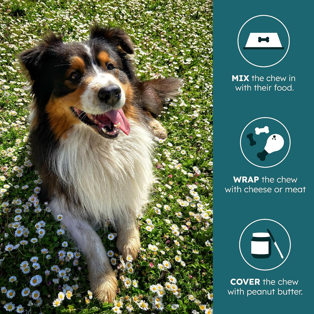 PetHeal Kidney Guard Chews para Perros - Apoyo Renal - 30 Snacks Blandos Sabor Cerdo