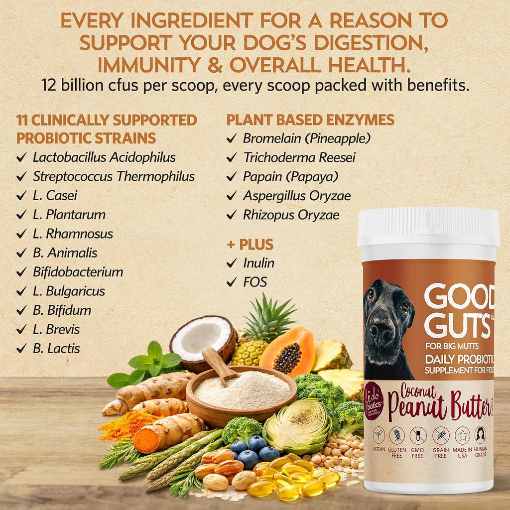 Good Guts Probióticos para Perros – Polvo Digestivo con 12B UFC, Enzimas y Prebióticos