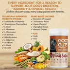Good Guts Probióticos para Perros – Polvo Digestivo con 12B UFC, Enzimas y Prebióticos