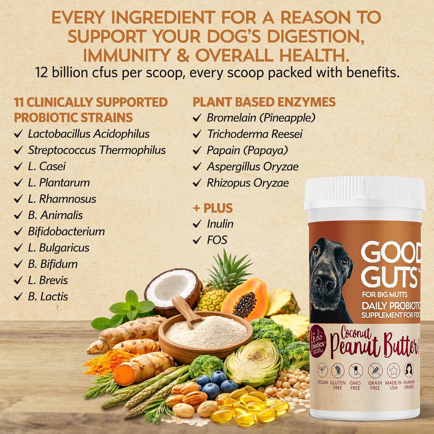 Good Guts Probióticos para Perros – Polvo Digestivo con 12B UFC, Enzimas y Prebióticos