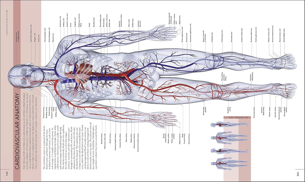 Libro del Cuerpo Humano