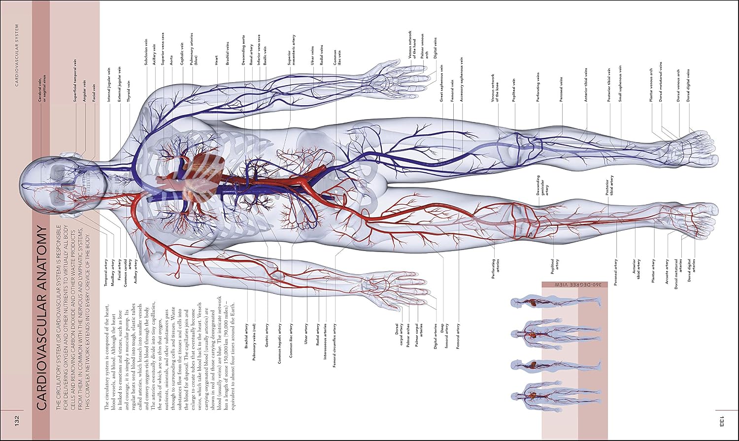 Libro del Cuerpo Humano