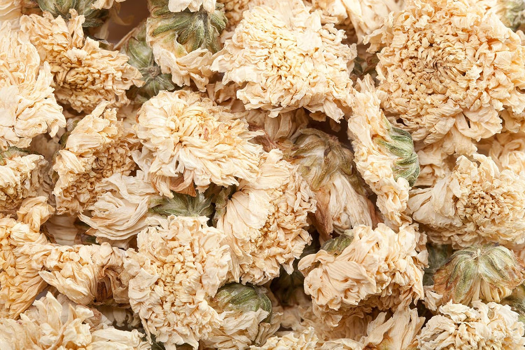 Dragon Herbs - Eagle Vision Cápsulas - 100 Cápsulas, 500 mg cada una