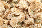 Dragon Herbs - Eagle Vision Cápsulas - 100 Cápsulas, 500 mg cada una
