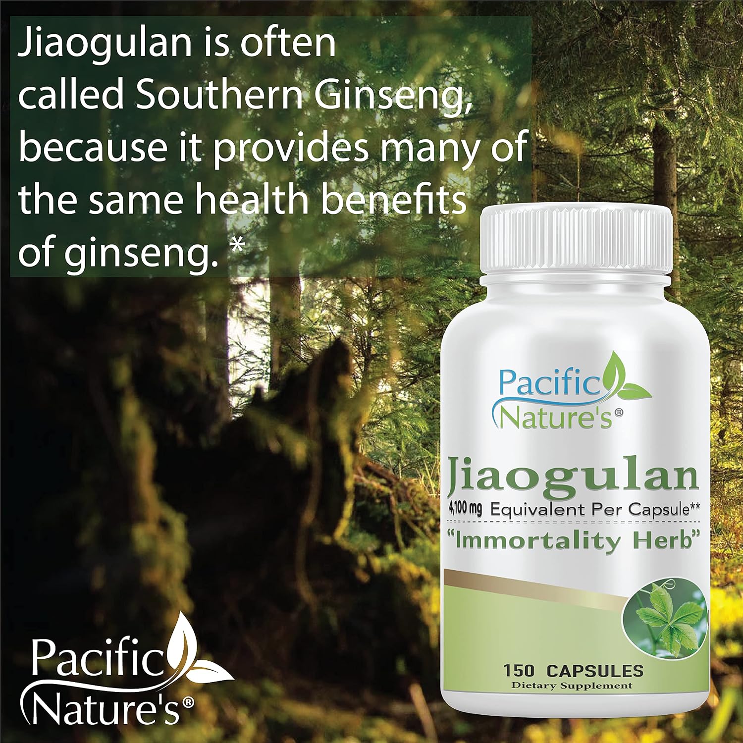 Pacific Nature's Jiaogulan - 150 Cápsulas - Extracto Estandarizado 10:1 (4100 mg)