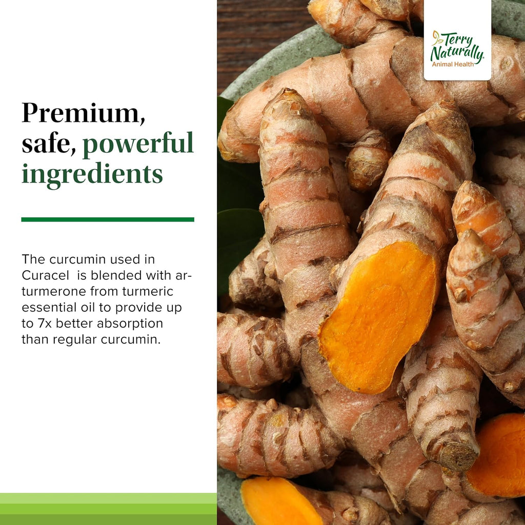 Terry Naturally Curacel Curcumin - Suplemento Antioxidante para Perros - 60 Cápsulas Blandas
